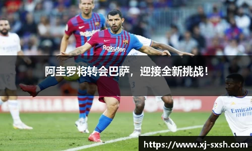 bsports官网入口