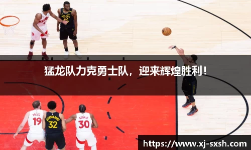bsports官网入口