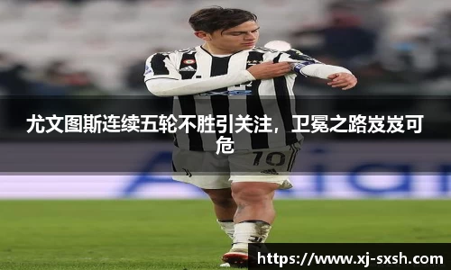 bsports登录入口