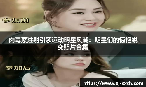bsports登录入口