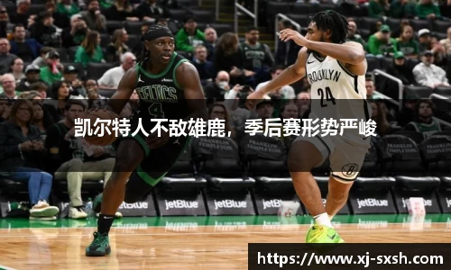 bsports官网入口