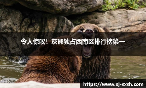 bsports官网入口