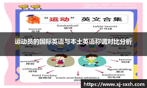 bsports登录入口