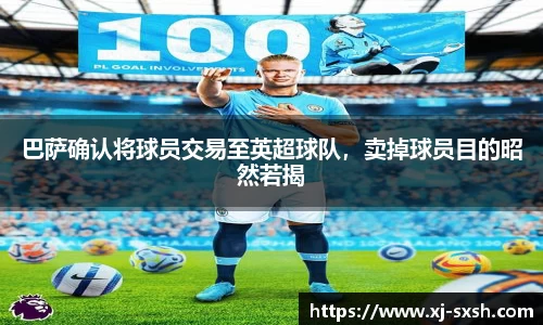bsports登录入口