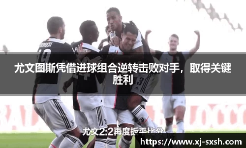 bsports登录入口