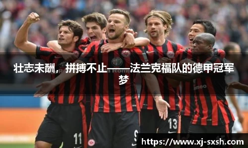 bsports登录入口