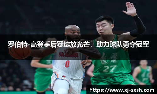 bsports登录入口