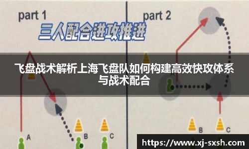 bsports官网入口