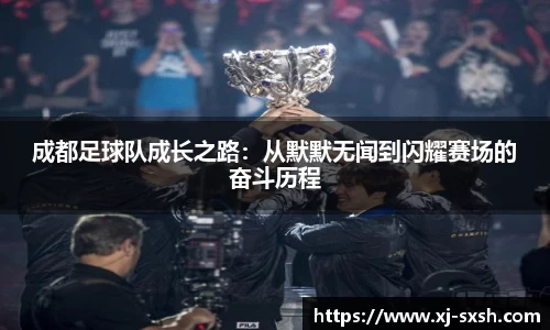 Bsports网页版