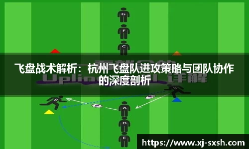 bsports登录入口
