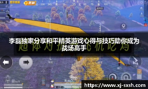 bsports官网入口
