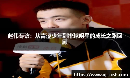 bsports登录入口