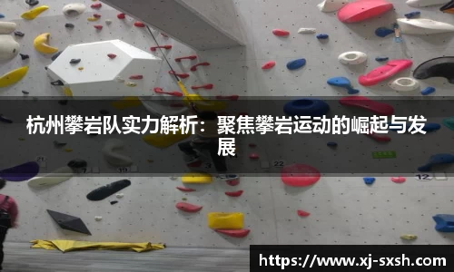 Bsports网页版