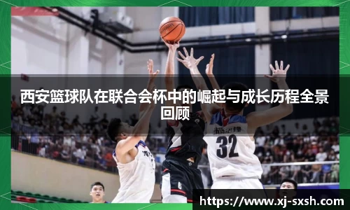 bsports登录入口