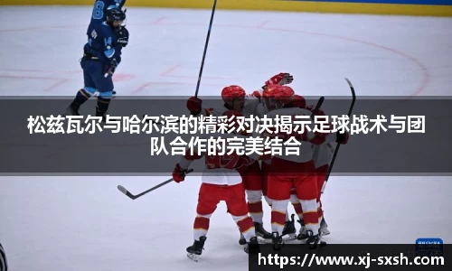 bsports官网入口