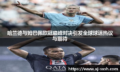 bsports官网入口