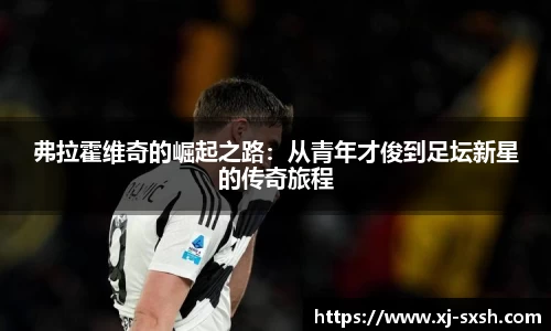 bsports登录入口
