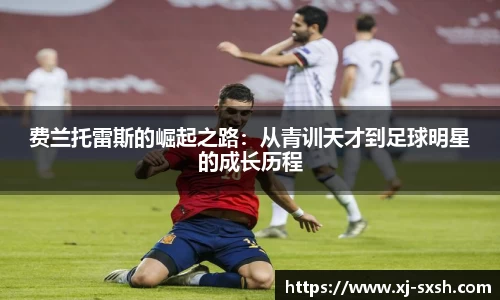 Bsports网页版
