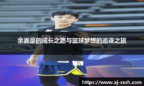 bsports登录入口