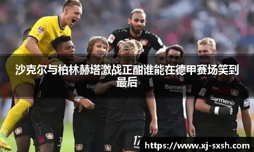 Bsports网页版