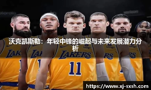 bsports登录入口