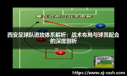 bsports登录入口